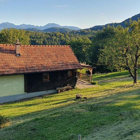 Villa Hiska Ob Gozdu Polzela Esterno foto