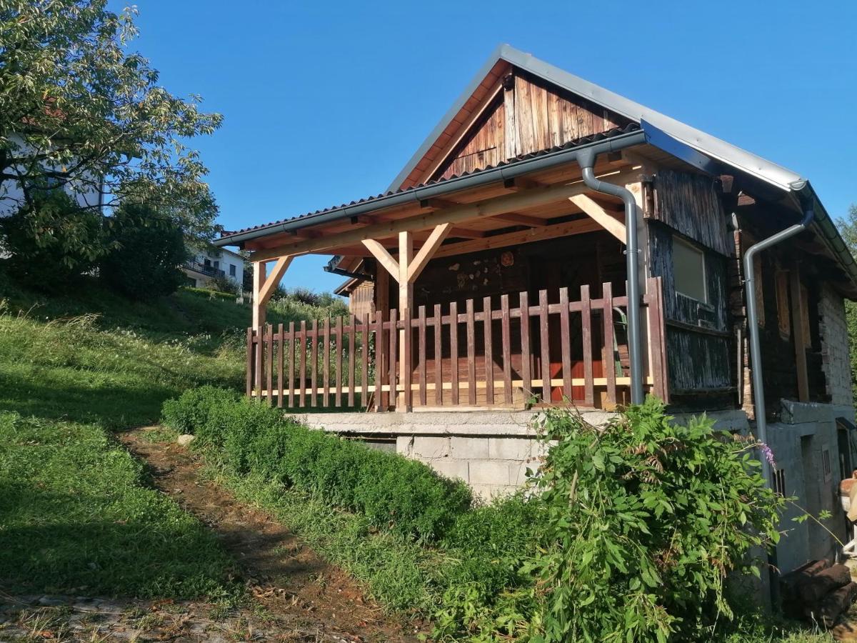 Villa Hiska Ob Gozdu Polzela Esterno foto