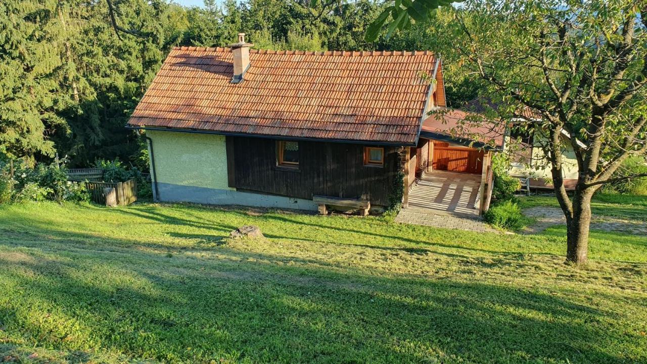 Villa Hiska Ob Gozdu Polzela Esterno foto